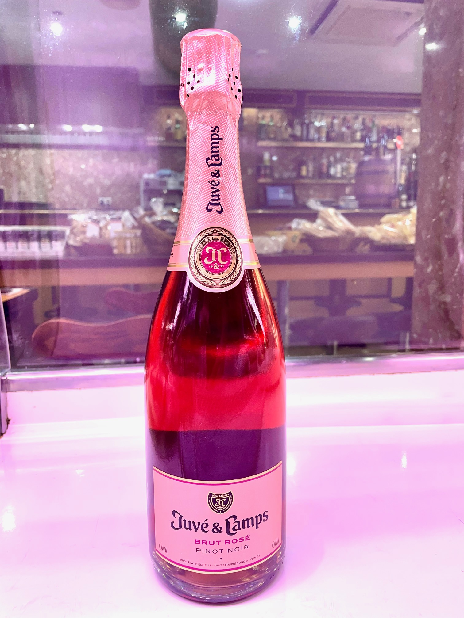 Juve & Camps Rosé Pinot Noir